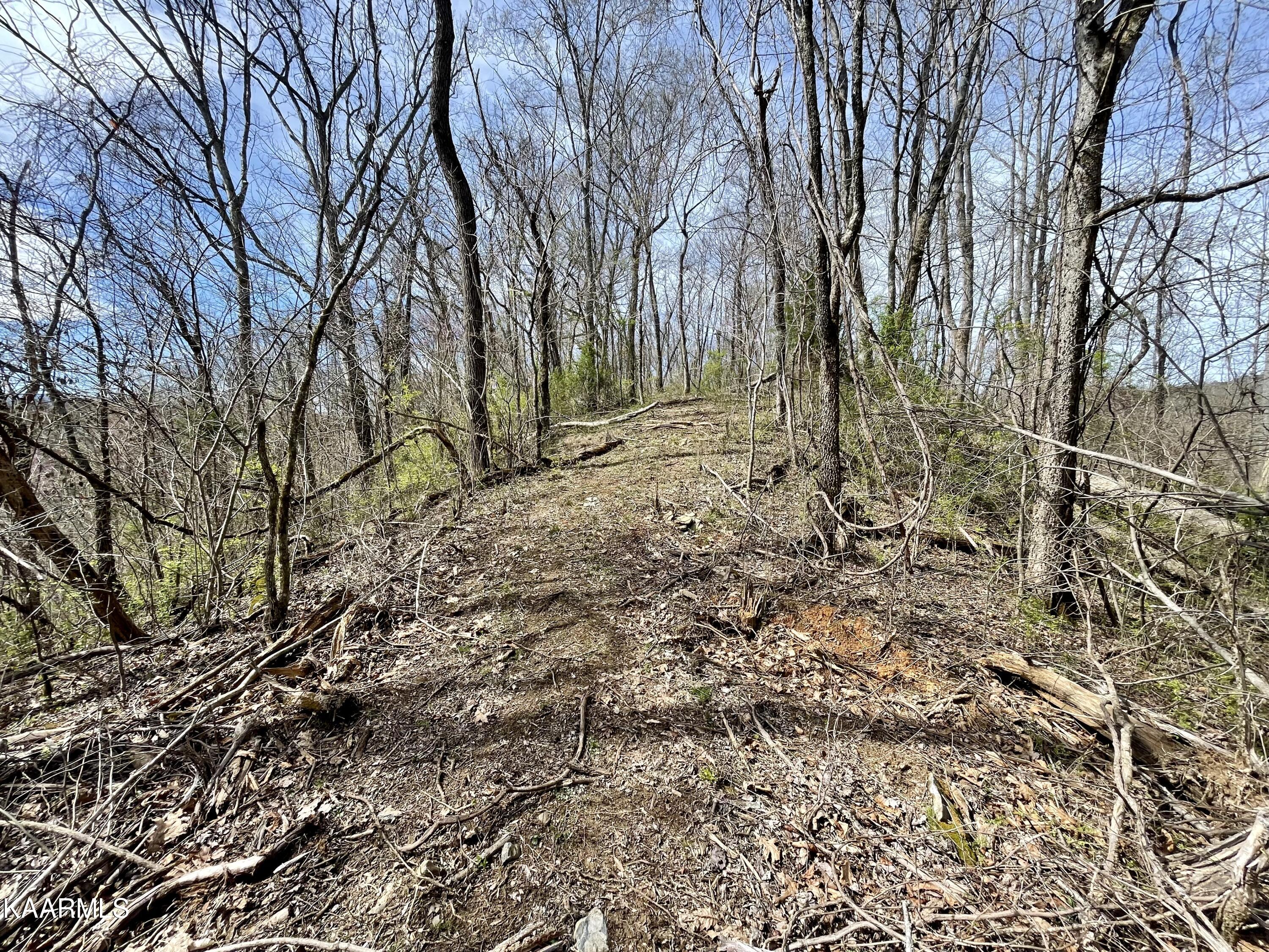 Lot 3-r-3 Pleasant Valley Road Cosby, TN 37722 - Photo 5 of 7 IMG_3768