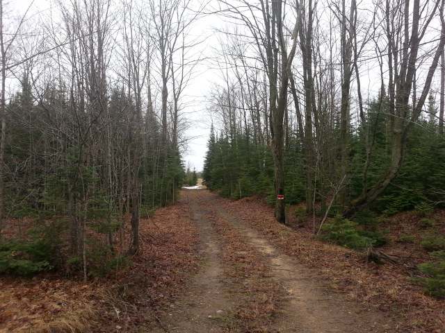 7425 Hwy 17 Sugar Camp Rhinelander, WI 54501 - Photo 17 of 20 Gallery Image 17