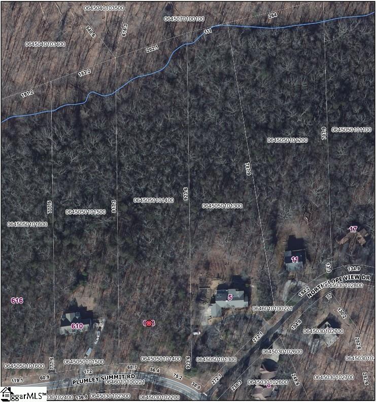 608 Plumley Summit Road Landrum, SC 29356 - Photo 11 of 11
