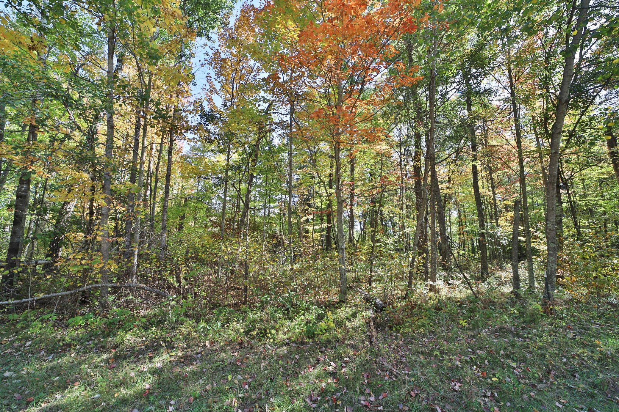 Tbd White Overlook Drive Breezy Point, MN 56472 - Photo 11 of 13