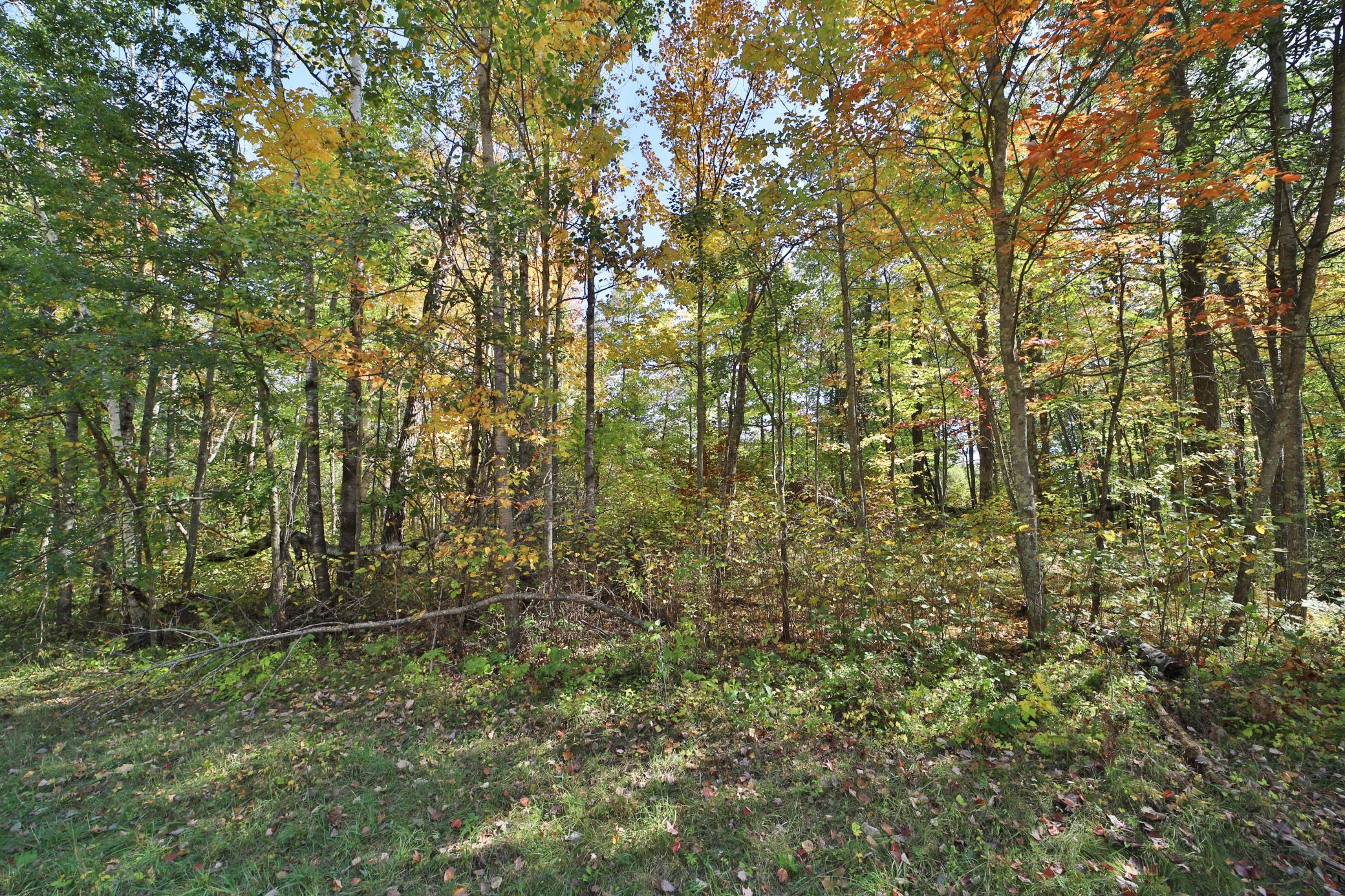 Tbd White Overlook Drive Breezy Point, MN 56472 - Photo 13 of 13