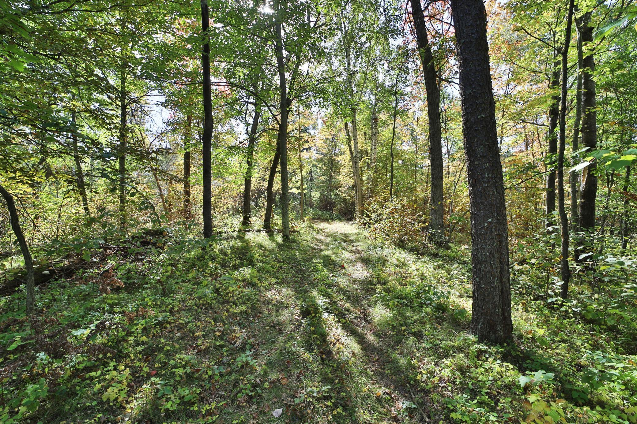 Tbd White Overlook Drive Breezy Point, MN 56472 - Photo 3 of 13