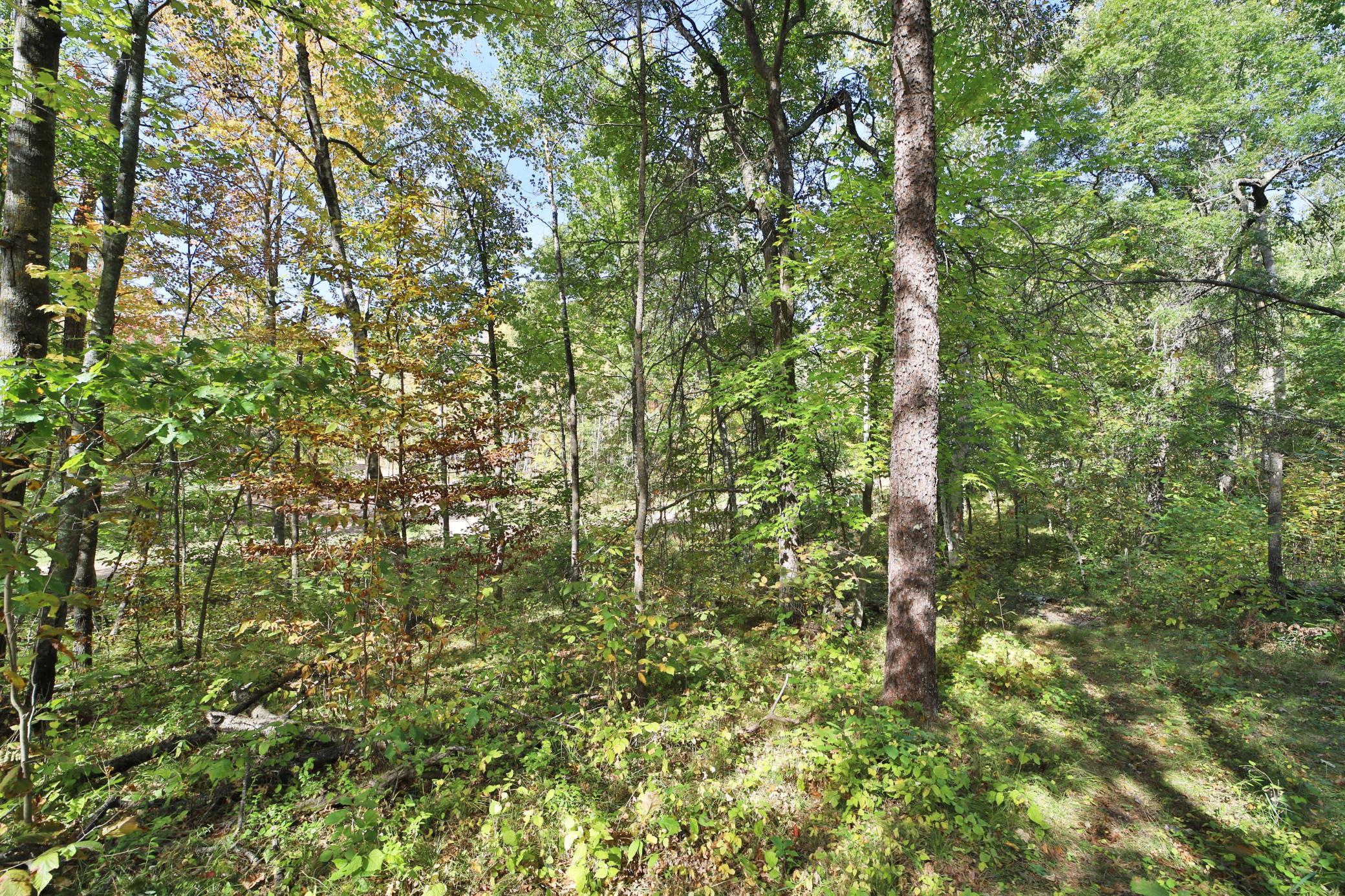 Tbd White Overlook Drive Breezy Point, MN 56472 - Photo 4 of 13