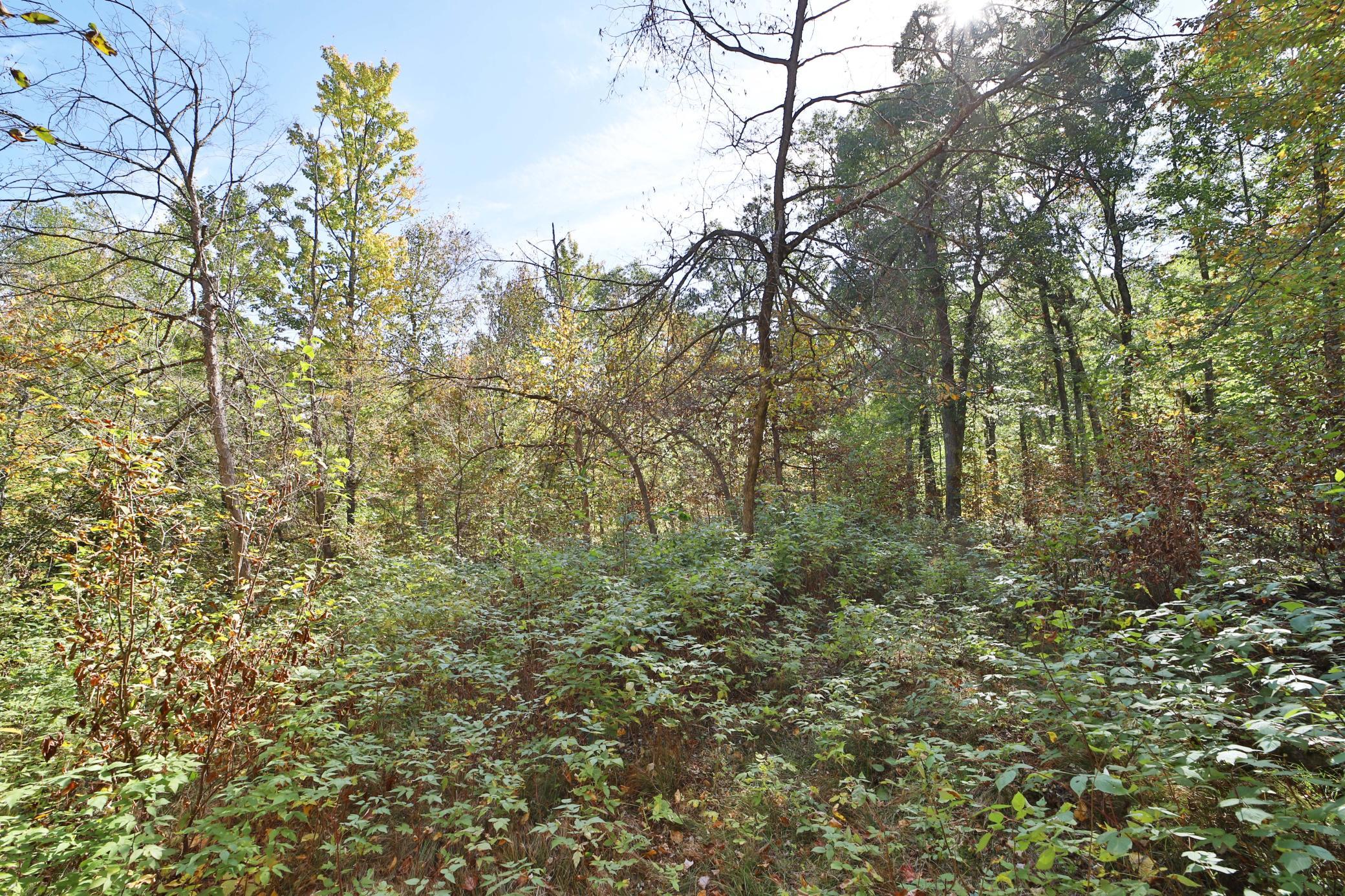 Tbd White Overlook Drive Breezy Point, MN 56472 - Photo 5 of 13