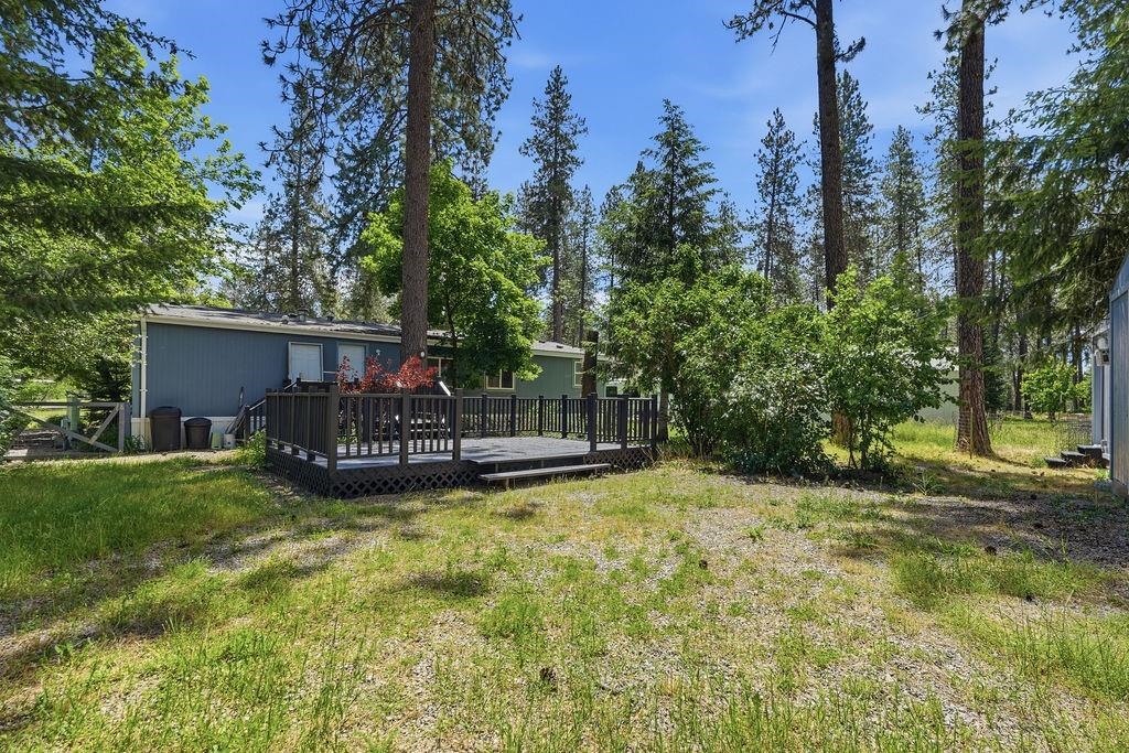 4113 Swallows Road Loon Lake, WA 99148 - Photo 33 of 45