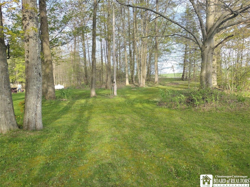 9924 Bailey Hill Road Mina, NY 14781 - Photo 11 of 42 View to roadside from driveway