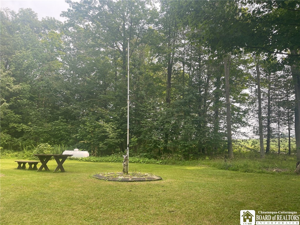 9924 Bailey Hill Road Mina, NY 14781 - Photo 10 of 42 Front lawn