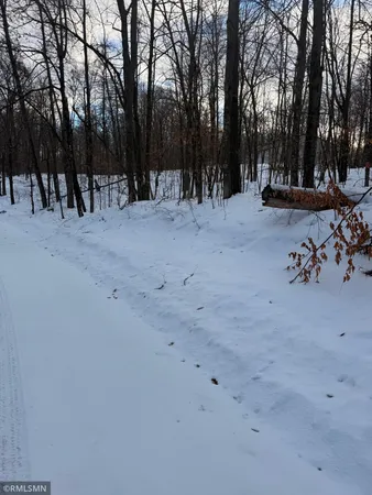 $29,000 | Tbd 193rd Avenue, McGregor, MN 55760