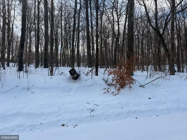 $29,000 | Tbd 193rd Avenue, McGregor, MN 55760