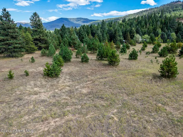 $349,000 | Nka Lot 2 Nka Road, Sagle, ID 83860