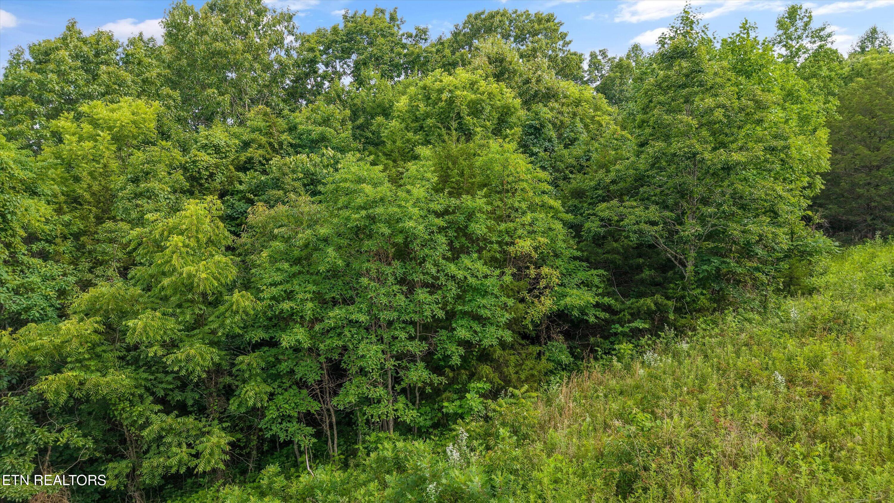 Graves Hollow Road Maynardville, TN 37807 - Photo 5 of 8 4-Graves Hollow Rd04