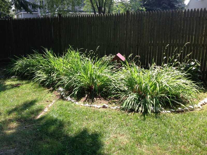 6 Ramsay Terrace Scarborough, ME 04074 - Photo 27 of 29 Yard/Garden.