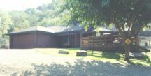 a view of yard