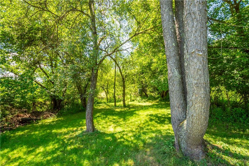 1147 Thomas Eighty Four Road Eighty Four, PA 15330 - Photo 20 of 24 a backyard of a house with lots of green space