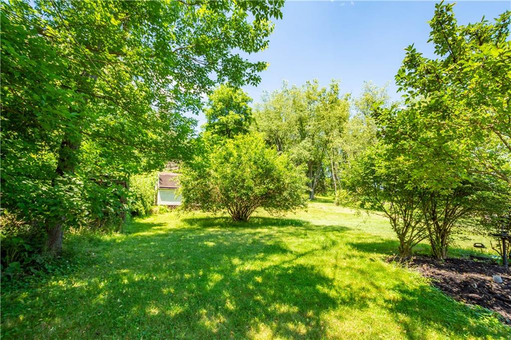 1147 Thomas Eighty Four Road Eighty Four, PA 15330 - Photo 21 of 24 a view of a yard with an tree