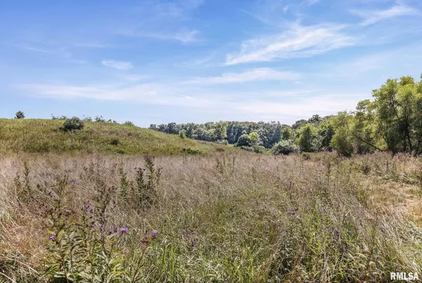 $1,800,000 | 520 Deerfield Road, Walnut Hill, IL 62893