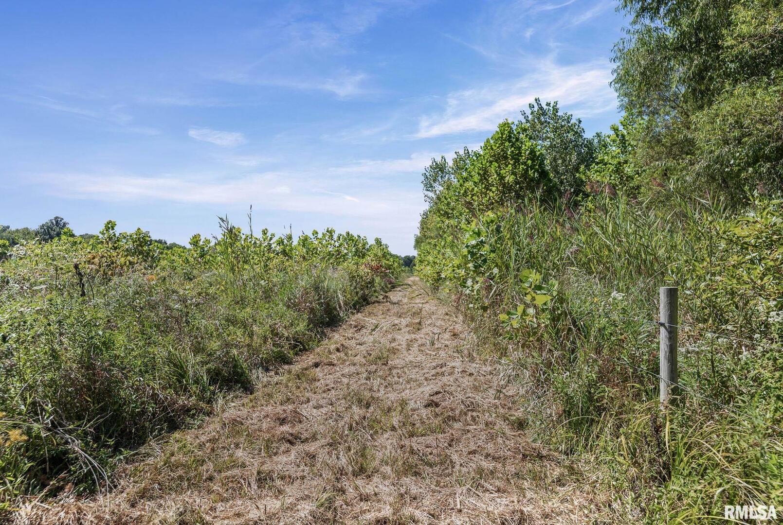 520 Deerfield Road Walnut Hill, IL 62893 - Photo 15 of 85