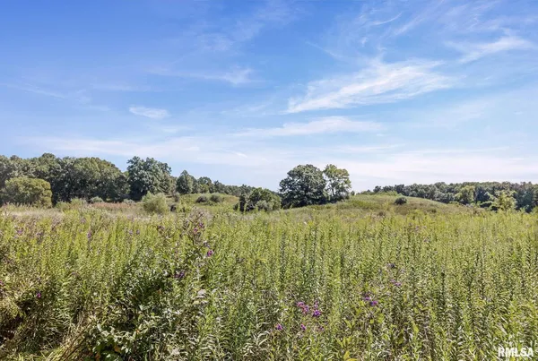 $1,800,000 | 520 Deerfield Road, Walnut Hill, IL 62893