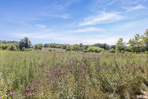 $1,800,000 | 520 Deerfield Road, Walnut Hill, IL 62893