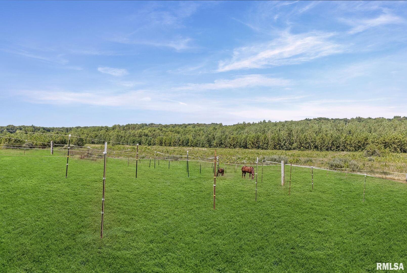 520 Deerfield Road Walnut Hill, IL 62893 - Photo 22 of 85 a view of a lake with houses in the back