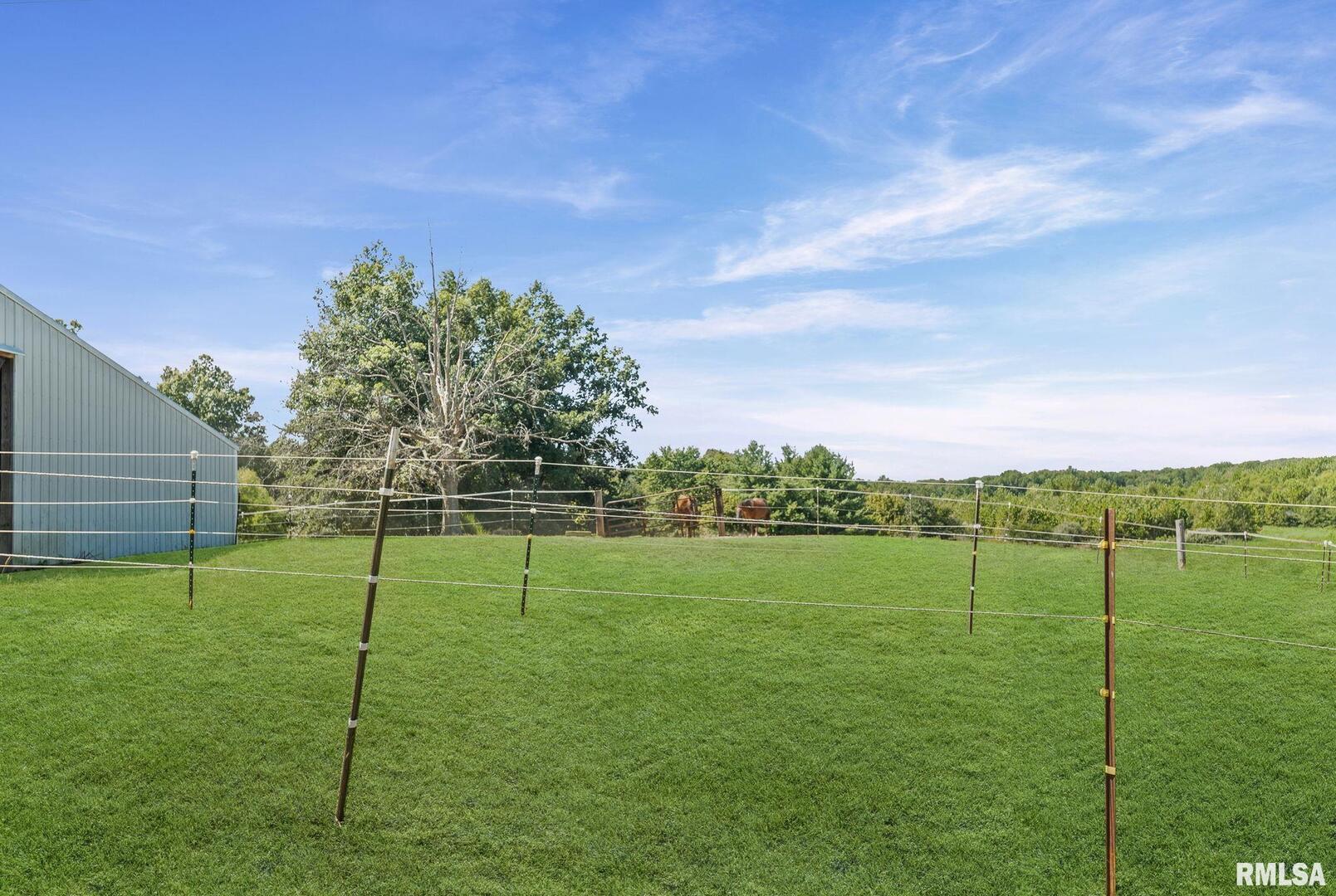 520 Deerfield Road Walnut Hill, IL 62893 - Photo 23 of 85 a view of a big yard with a large tree
