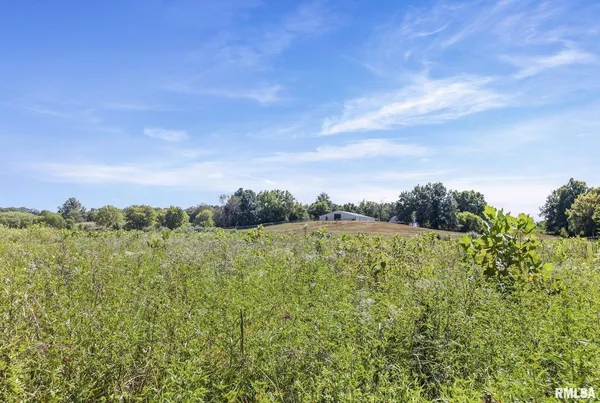 $1,800,000 | 520 Deerfield Road, Walnut Hill, IL 62893