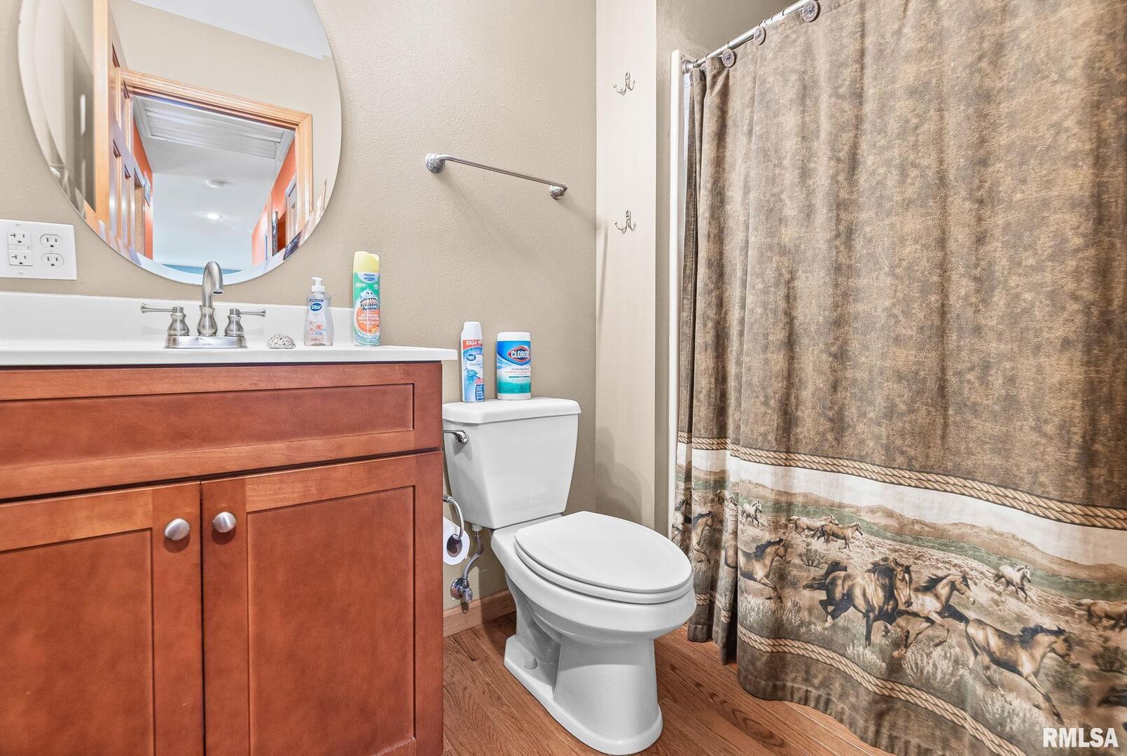 520 Deerfield Road Walnut Hill, IL 62893 - Photo 55 of 85 a bathroom with a toilet a sink and a mirror