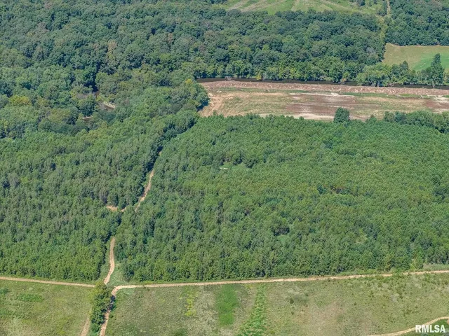 $1,800,000 | 520 Deerfield Road, Walnut Hill, IL 62893