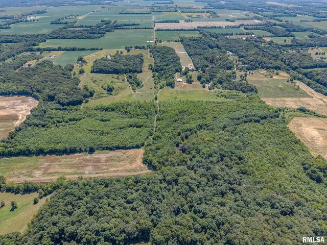 $1,800,000 | 520 Deerfield Road, Walnut Hill, IL 62893