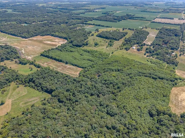 $1,800,000 | 520 Deerfield Road, Walnut Hill, IL 62893