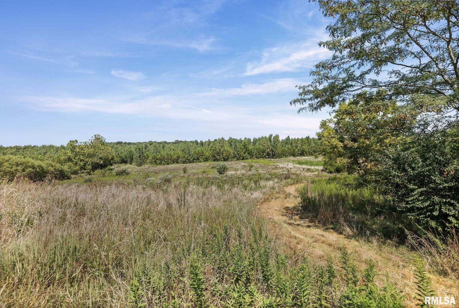 520 Deerfield Road Walnut Hill, IL 62893 - Photo 10 of 85 a view of lake with green space