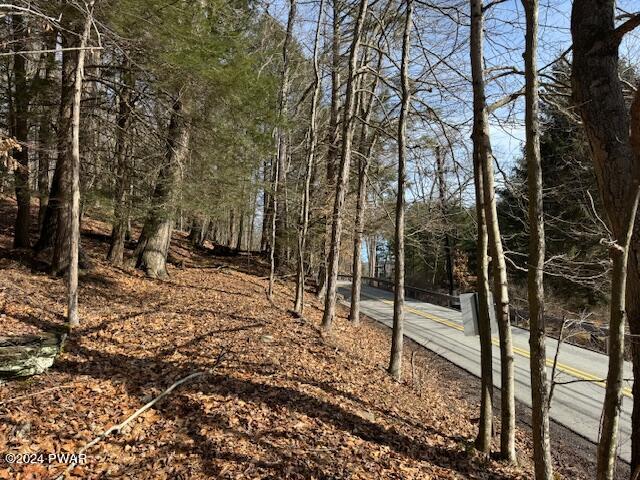 River Road Milanville, PA 18443 - Photo 2 of 6 River Road