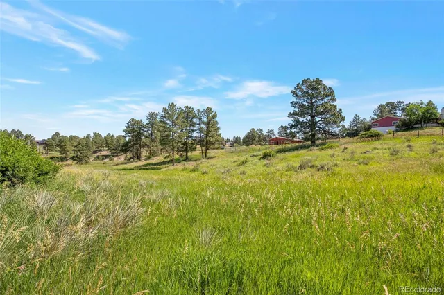a view of a yard with an outdoor space