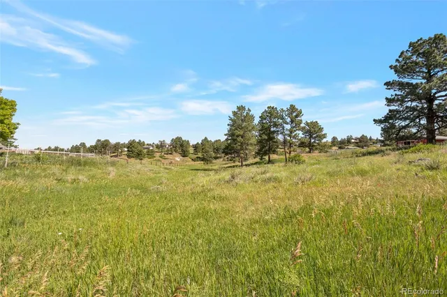 a view of lake with lots of trees