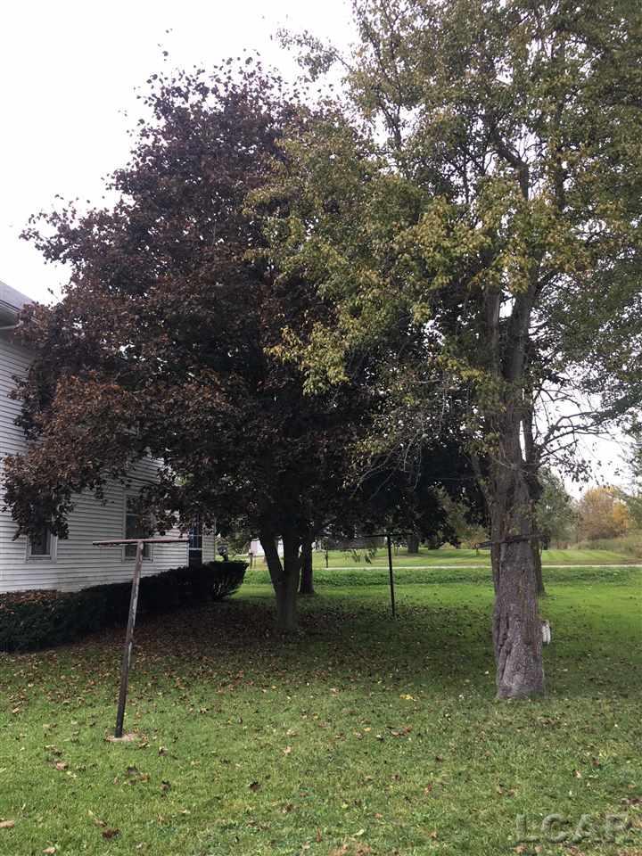 6785 Burton Road Adrian, MI 49221 - Photo 17 of 22 31362086-16.JPG