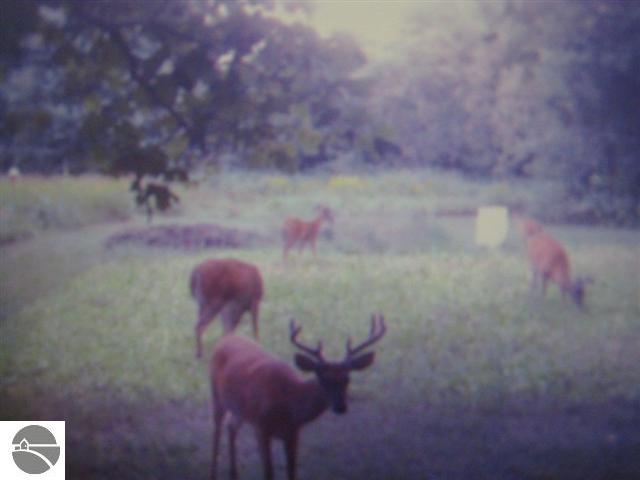 7570 Cunningham Road Northeast Mancelona, MI 49659 - Photo 1 of 25 1733403.JPG
