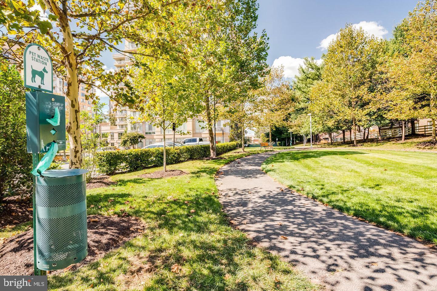 1723 Ascot Way, Unit A Reston, VA 20190 - Photo 26 of 32 Your pooch with love the open spaces to run!