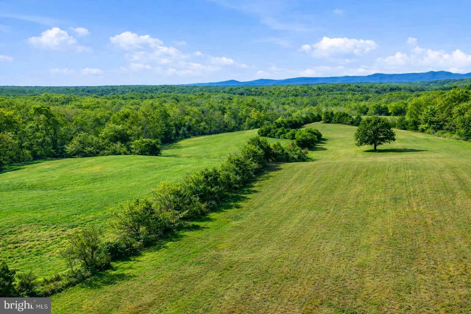 Lot A Trasara Road Rapidan, VA 22733 - Photo 2 of 15