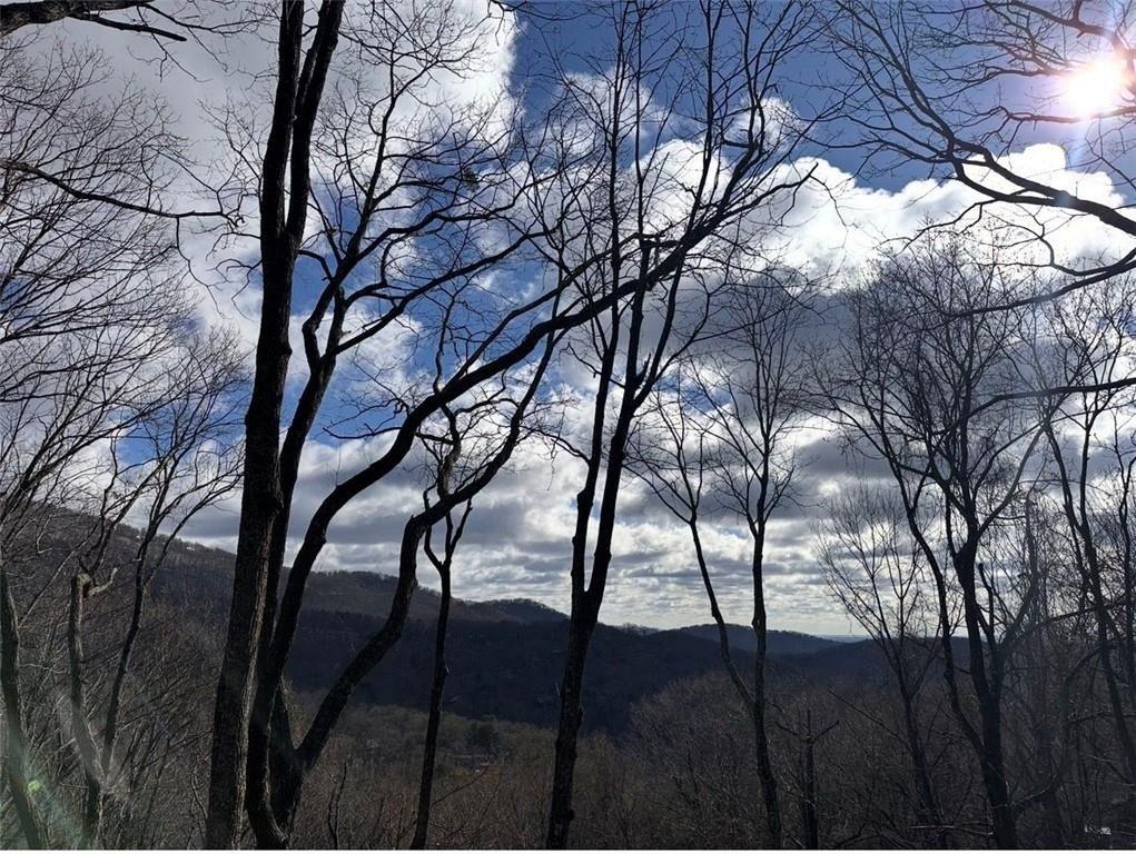 511 Hickory Trail Jasper, GA 30143 - Photo 19 of 20