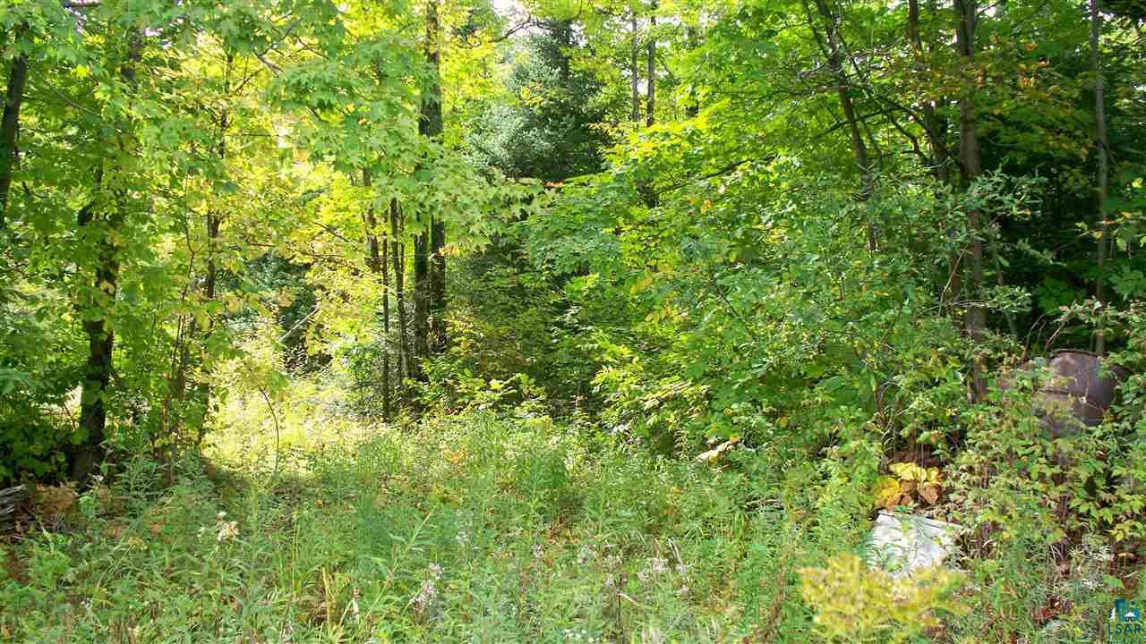 Xxxx South Ahola Road Maple, WI 54854 - Photo 8 of 22