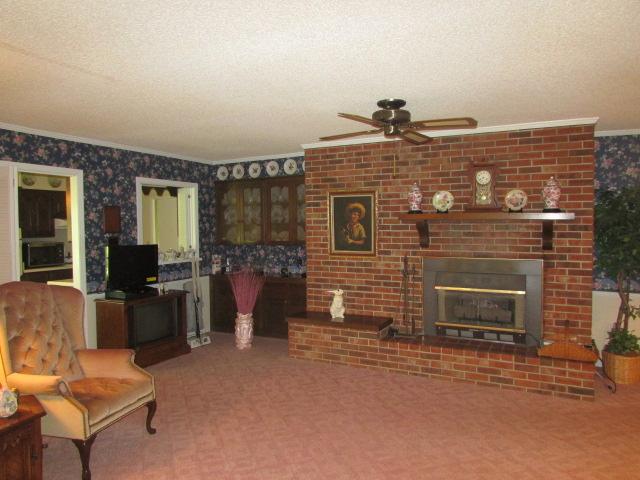 10 Barns Road Leoma, TN 38468 - Photo 6 of 19 a view of a livingroom with furniture and a fireplace