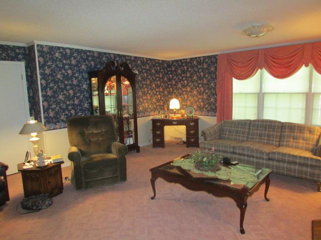 10 Barns Road Leoma, TN 38468 - Photo 7 of 19 a living room with furniture and a fireplace