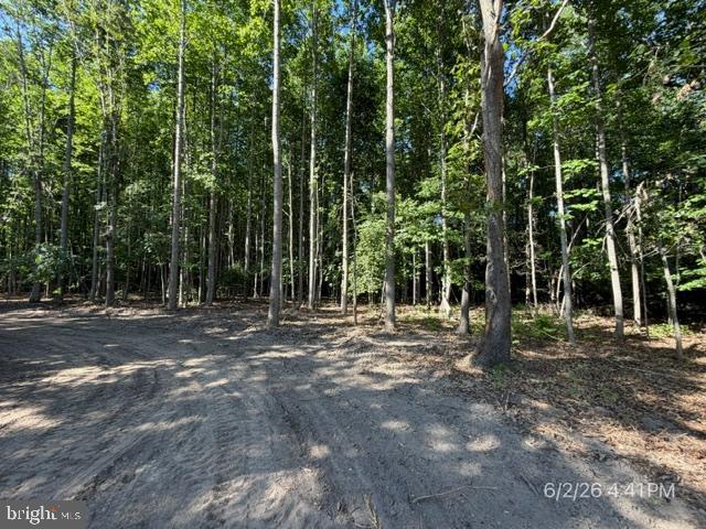 Lot 1 Benson Road Lincoln, DE 19960 - Photo 9 of 17 30' easement-this property on your right