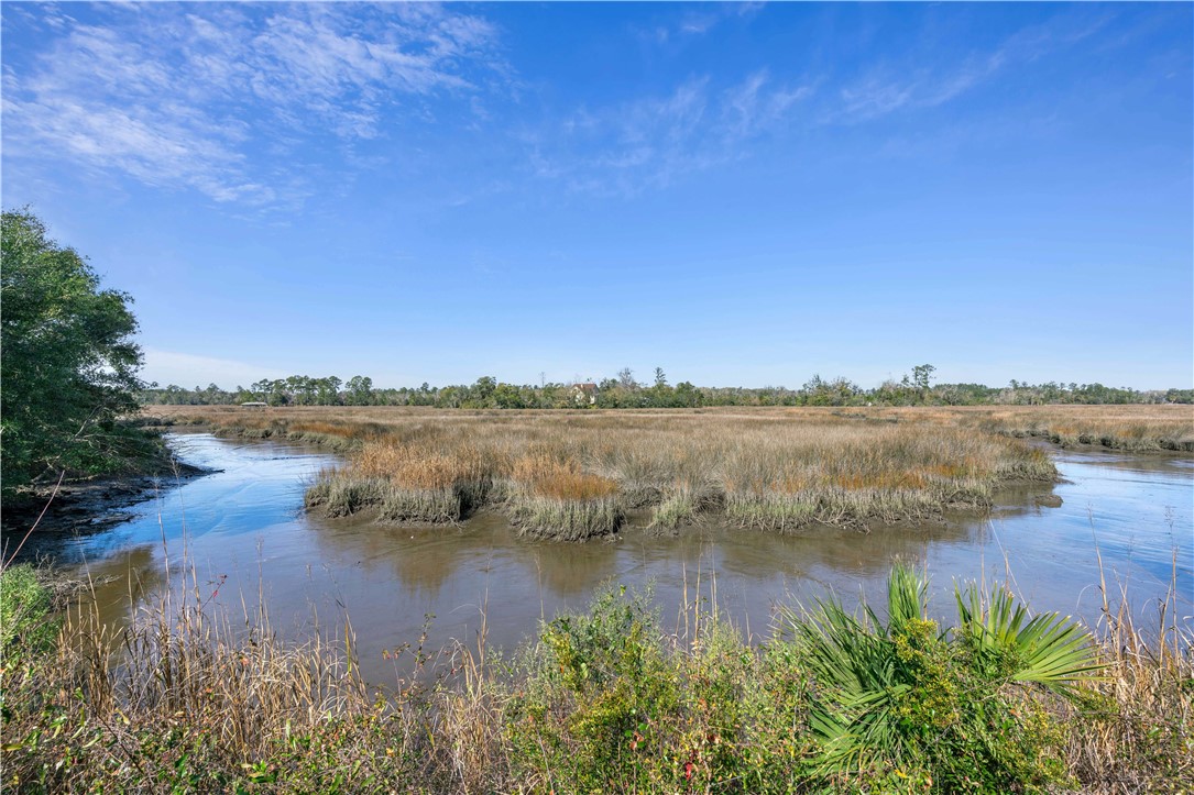 60 Laurel Grove Road Brunswick, GA 31523 - Photo 52 of 53