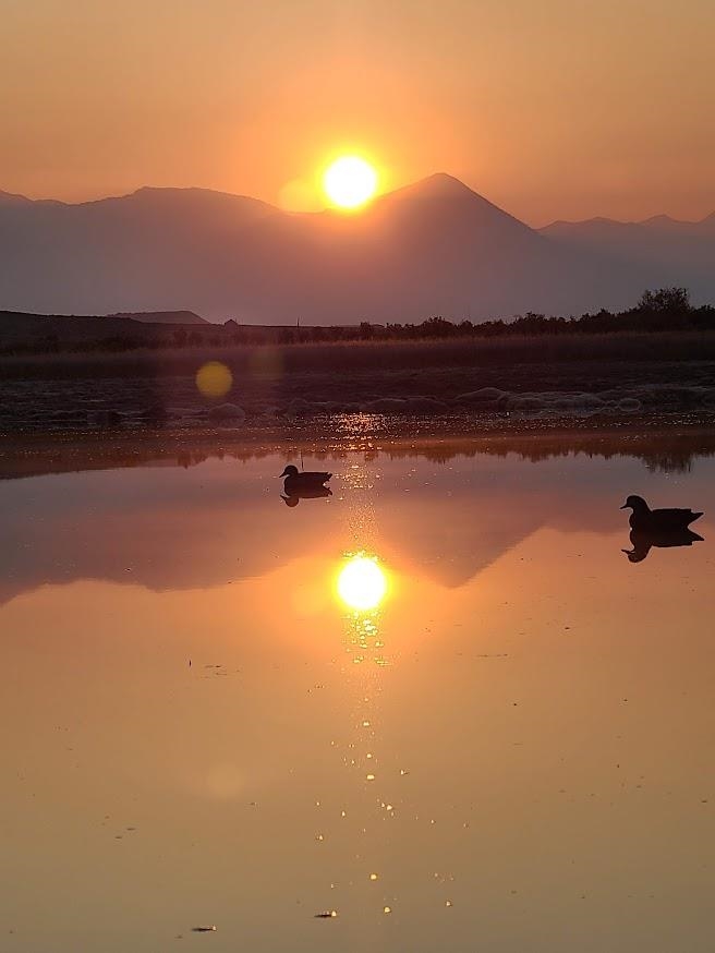 Tbd Tbd Lazy Lizard Road Hotchkiss, CO 81419 - Photo 15 of 30 a view of lake and mountain