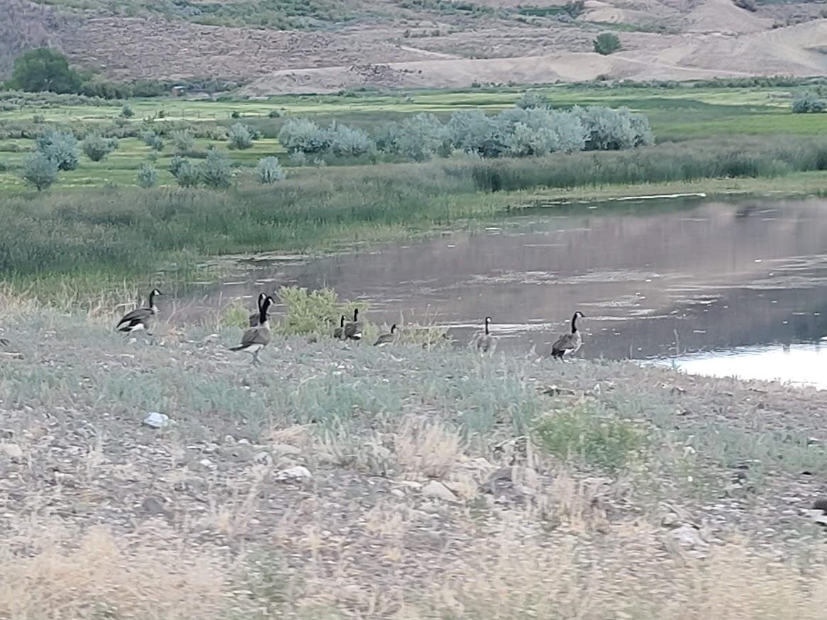 Tbd Tbd Lazy Lizard Road Hotchkiss, CO 81419 - Photo 7 of 30 a view of a lake with outdoor space