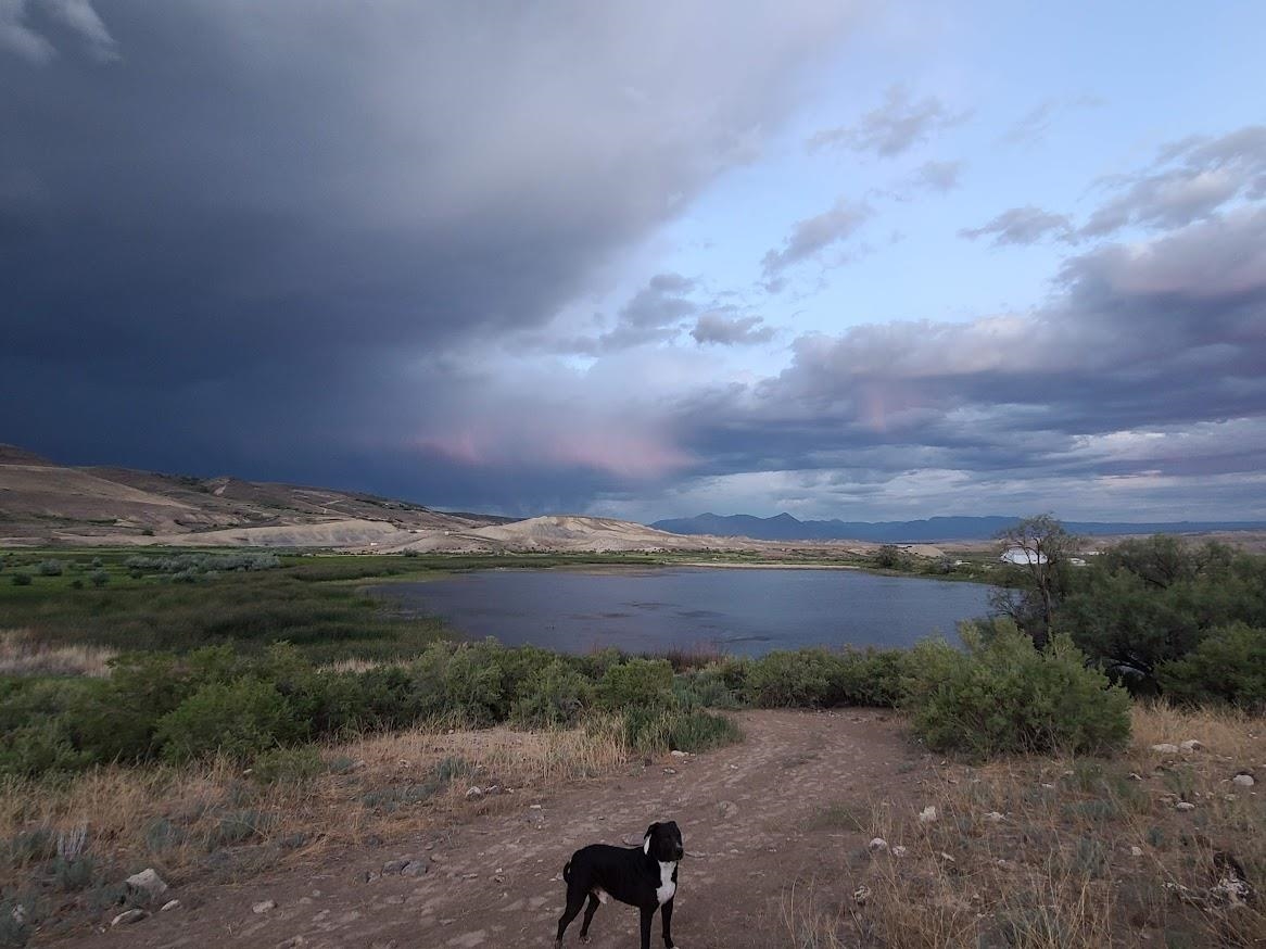 Tbd Tbd Lazy Lizard Road Hotchkiss, CO 81419 - Photo 9 of 30 a view of an ocean beach