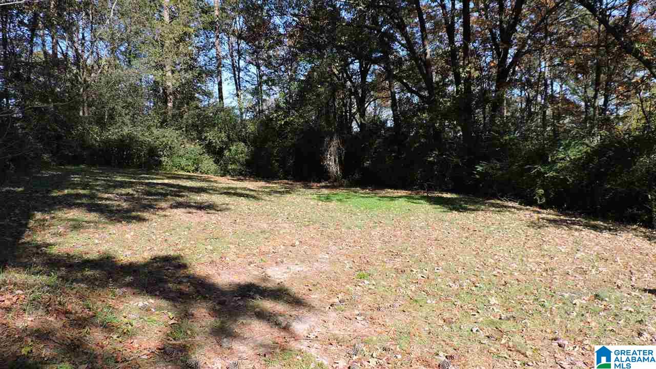 24 Hillview Lane Northwest Birmingham, AL 35215 - Photo 37 of 37