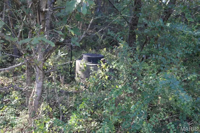 $309,000 | 3841 County Road 441, Poplar Bluff, MO 63901