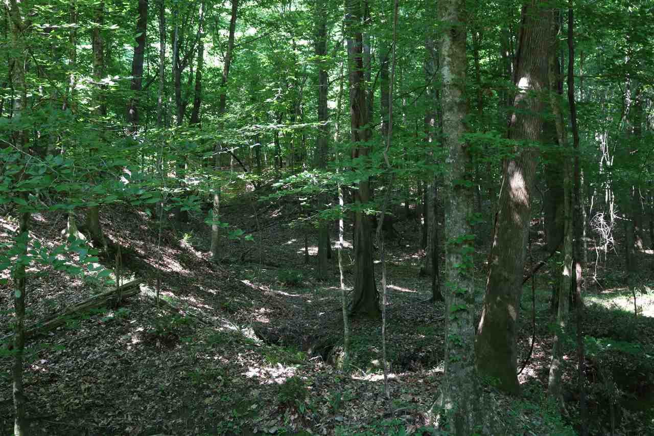 1187 Cox Ferry Road Bentonia, MS 39040 - Photo 29 of 41 Photo 29